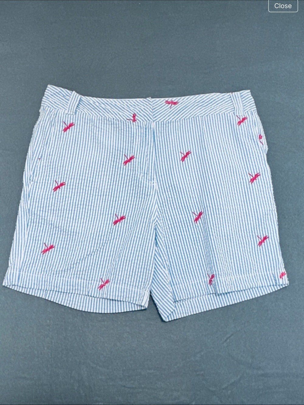 Blue and White Striped Seersucker Shorts with Pink Dragonfly Embroidery - Picture 3 of 5